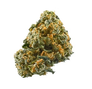 Kings Kush