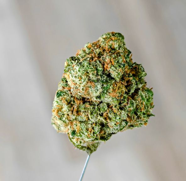Vendetta OG