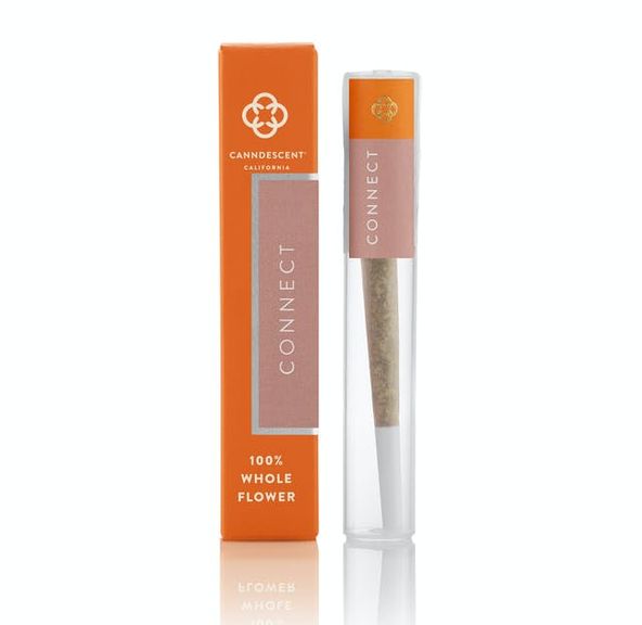 1. Canndescent 1g Pre Roll - Connect **SALE ITEM**