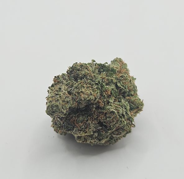 *Indoor - Astro Pop - 25% - H