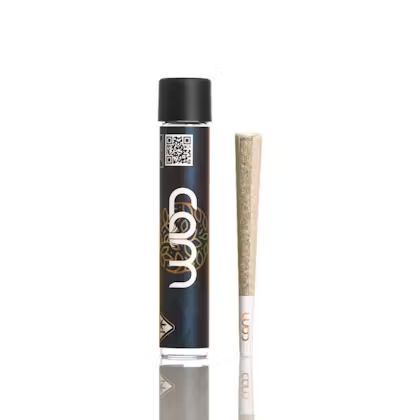 CAM - CAM Pop - 1g Preroll