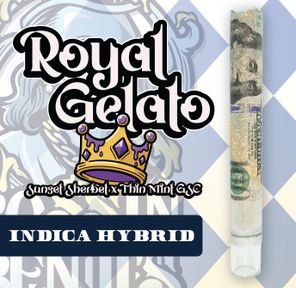 RR|Bossin Benji|Royal Gelato