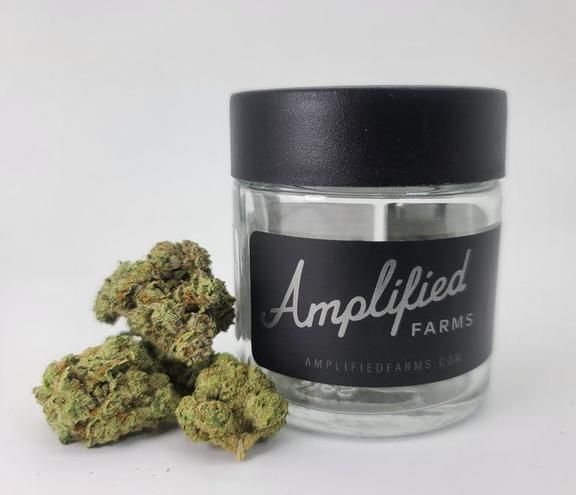Amplified Farms Once Is Enough 3.5g 31.64%