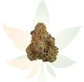 Blood Orange AA+ Ounce
