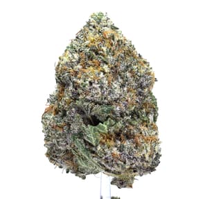 Blackberry