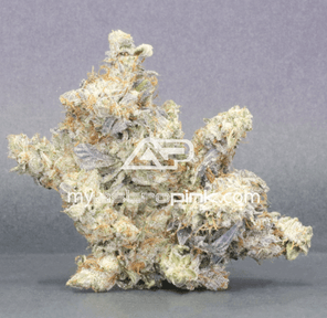 Astropink | Lot #7653 | ONE HIT WONDER | *November 29th DROP*