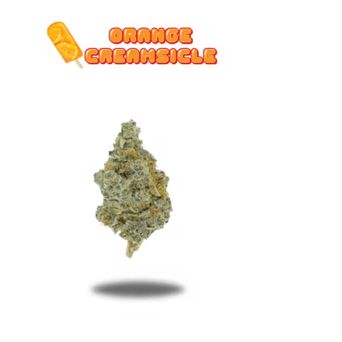 OAKFRUITLAND- 7G ORANGE CREAMSICLE