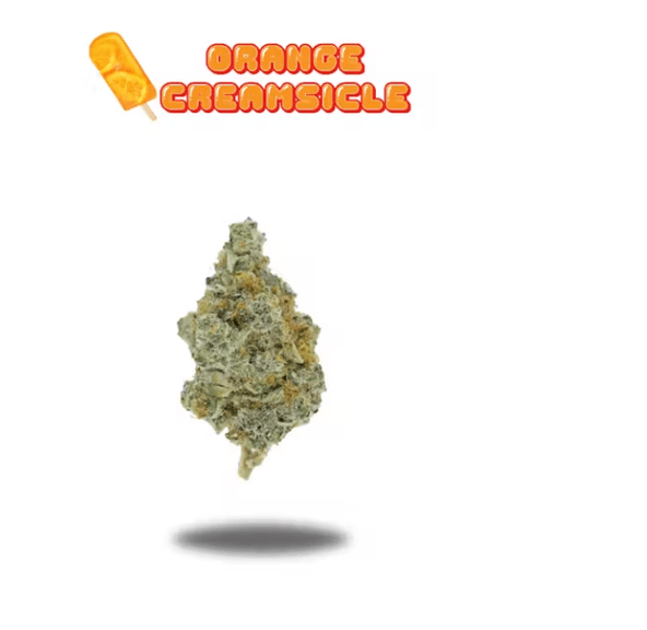 OAKFRUITLAND- 7G ORANGE CREAMSICLE