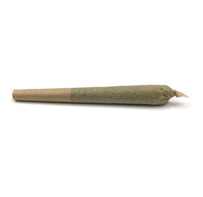 THCA Golden Dust Rolls 1.5g