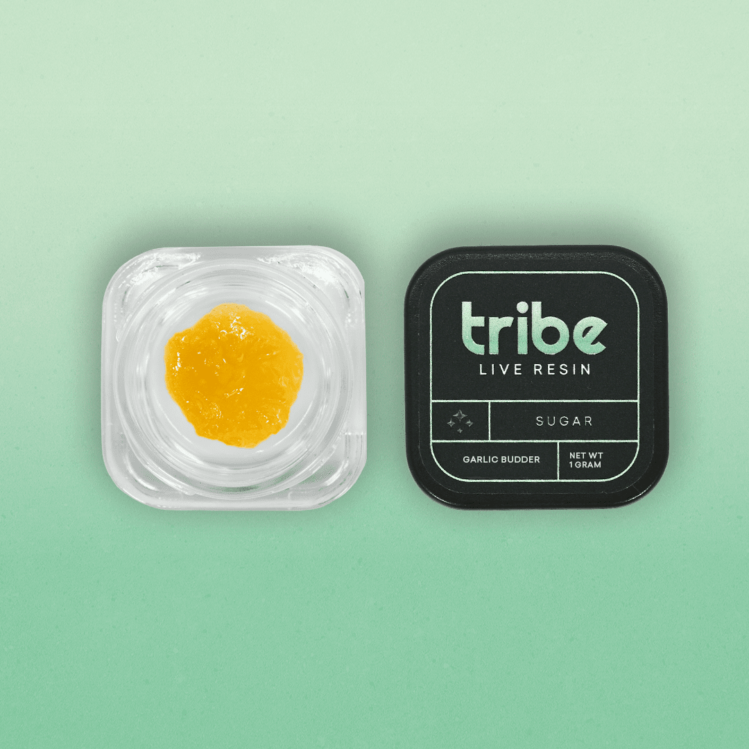 TRIBE GARLIC BUDDER LIVE SUGAR 1G