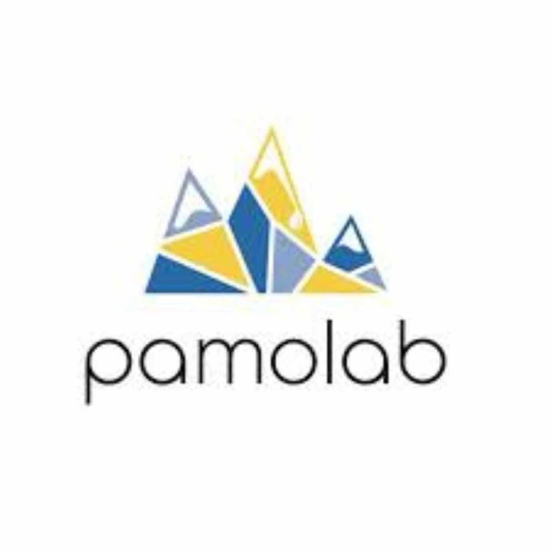 Pamolab Disposable Distillate Cartridge 1g WHITE WIDOW