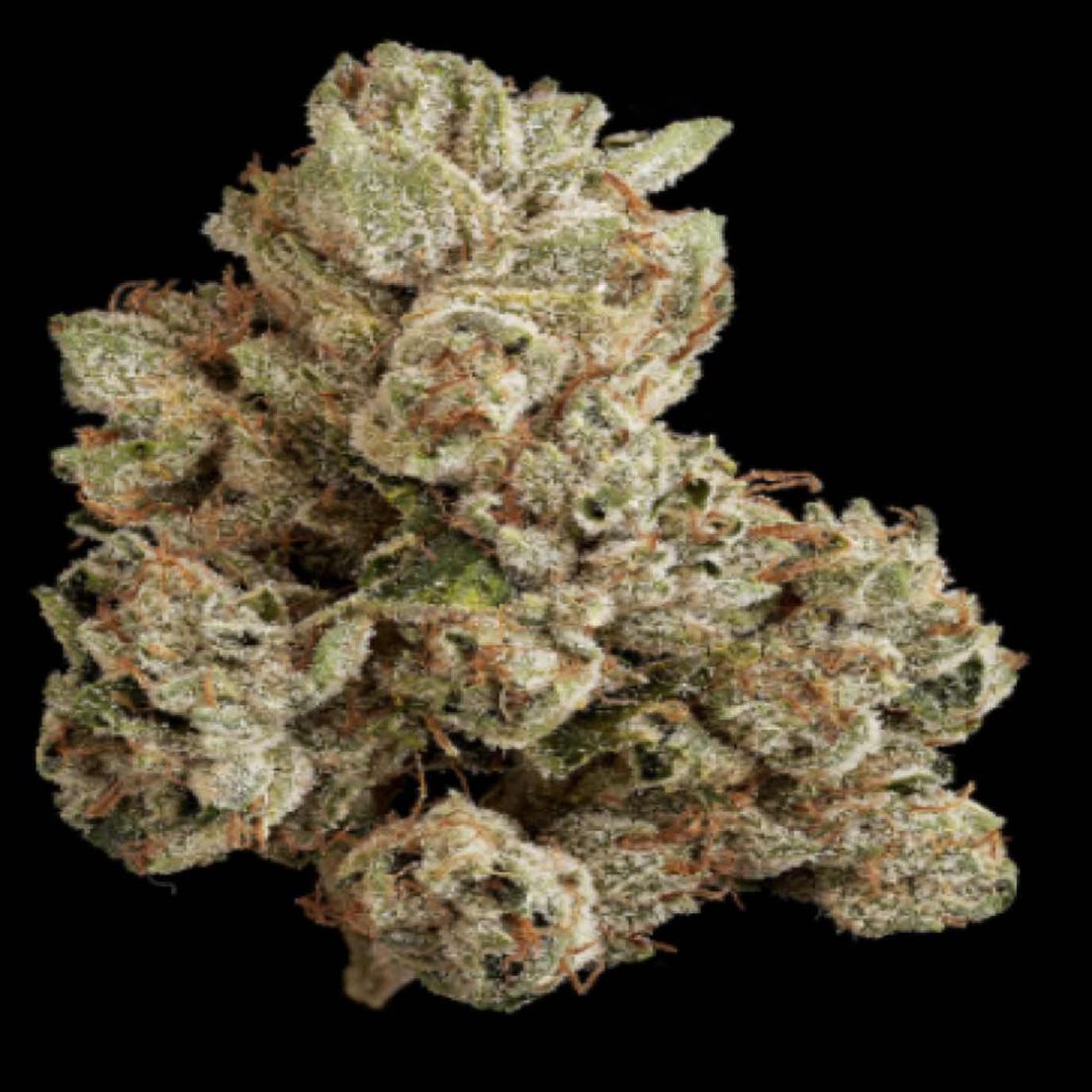 [Maven] Flower - 3.5g - XXX OG