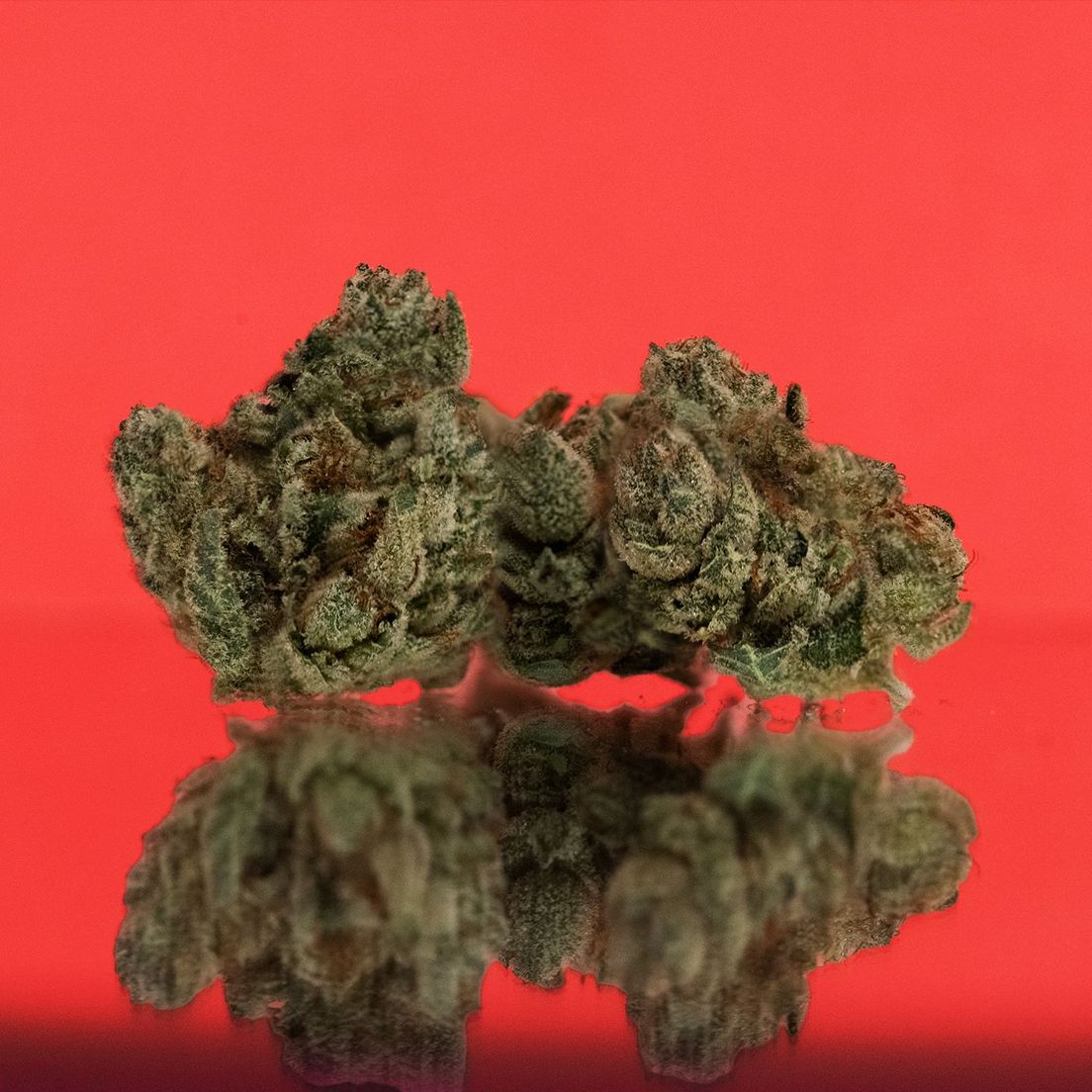 District Cannabis | Gorilla Glue #4 - Flower | 3.5g | Hybrid