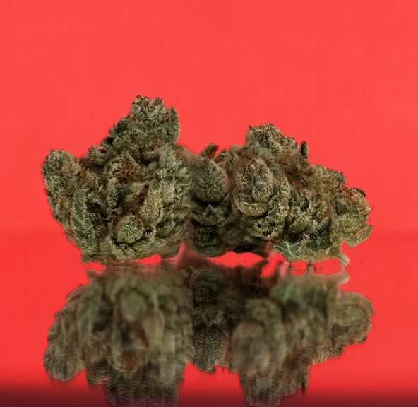District Cannabis | Gorilla Glue #4 - Flower | 3.5g | Hybrid