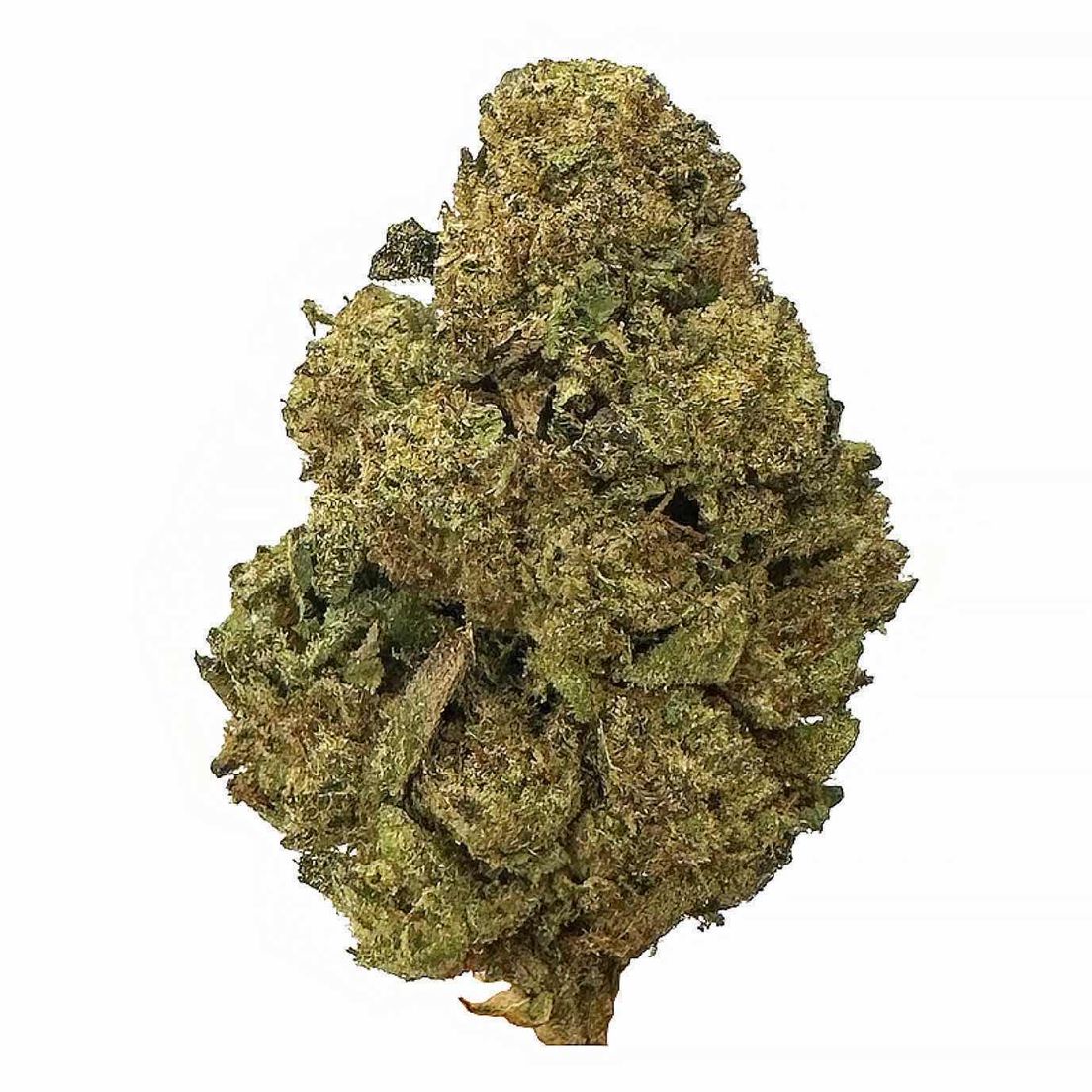 RUNTZ 69/Oz
