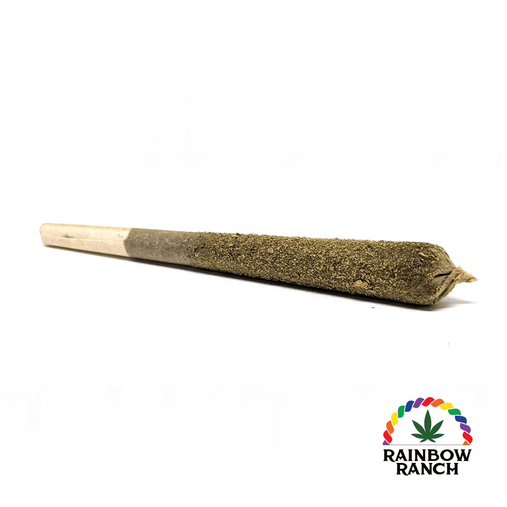 Lemon Amnesia 1g Infused Pre-Roll (Sativa)