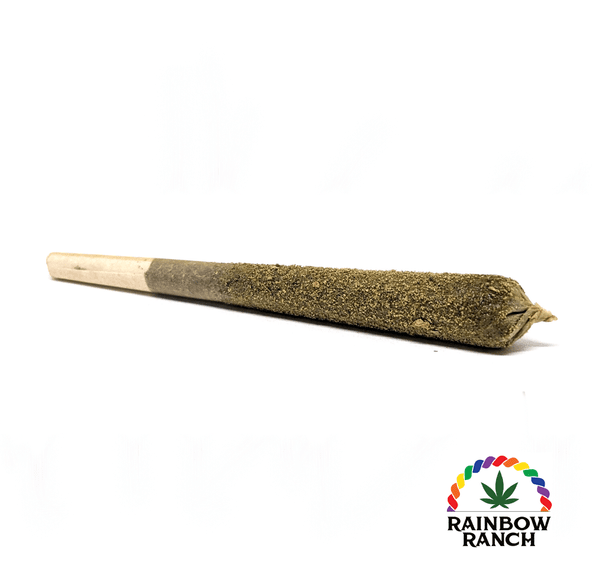 Lemon Amnesia 1g Infused Pre-Roll (Sativa)