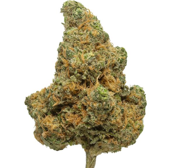 BLUE DREAM Ounce Humboldt Grown