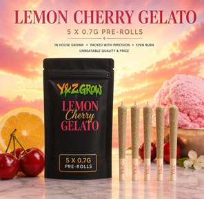 0.7g Pre-Roll: Lemon Cherry Gelato (I) 5 Pack