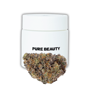 Pure Beauty | Flower | 3.5g | 2:1 CBD/THC | Terry T x Gelato 33