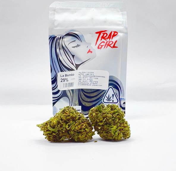 1/8 La Bomba (29.37%/Hybrid) - Trap Girl