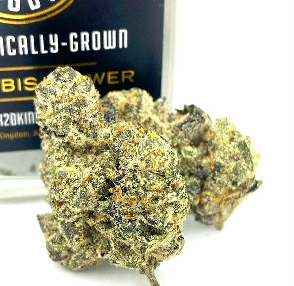 420 Kingdom - BS X Jealousy - 3.5g