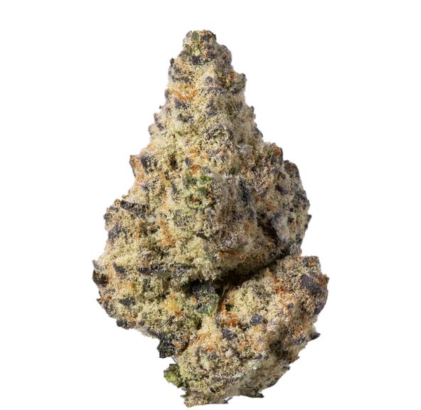 Buddha Kings Slurricane