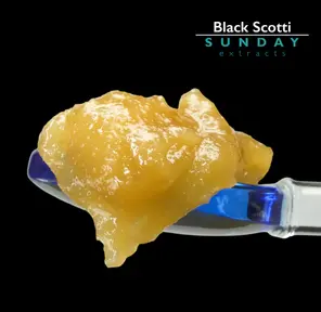 1g Concentrate Cured Resin - Black Scotti