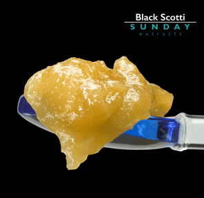 1g Concentrate Cured Resin - Black Scotti