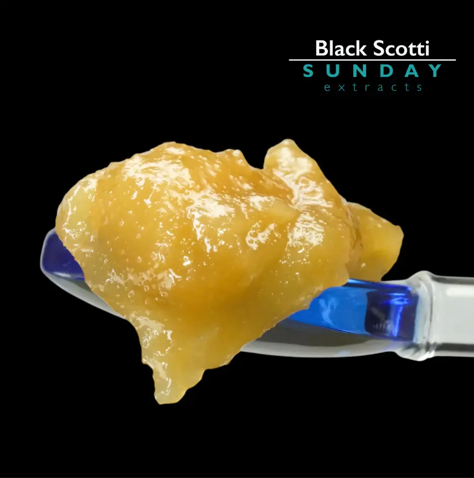 1g Concentrate Cured Resin - Black Scotti