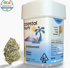Coastal Sun - Bridesmaid