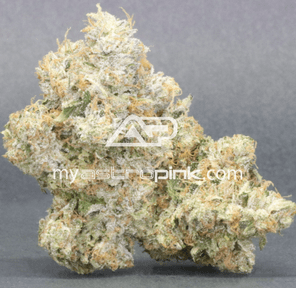 Astropink | Lot #0739 | PINK BORDEAUX | *November 29th DROP*