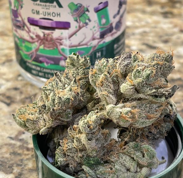 GM-UhOh, 3.5G, Flower, 37.05% - Cannabiotix