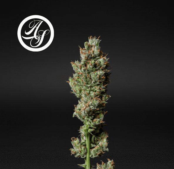 Alt Sol | Super Lemon Haze - Flower | 3.5g | Sativa-Hybrid