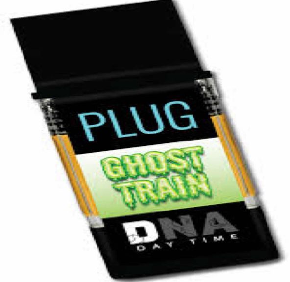 Plugplay - DNA: Ghost Train Haze 1g