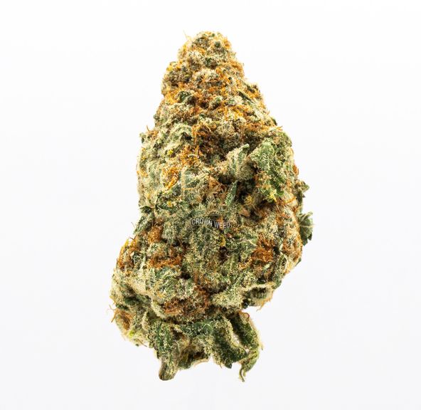 14G Pure Power Plant