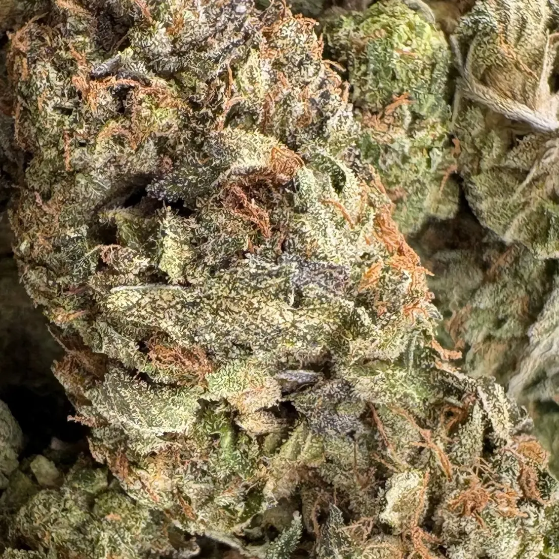 7g - GAS MONKEY (AAAA
