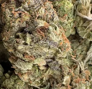 7g - GAS MONKEY (AAAA