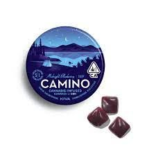 Camino Gummies - Midnight Blueberry - 100MG