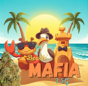 Flower: Beach Mafia - Later Days - 3.5G