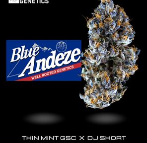 Blue Andeze - Well Rooted