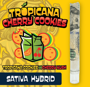 RR|Bossin Benji|Tropicana Cherry Cookies