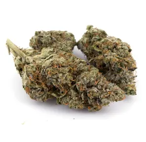 Gorilla Glue