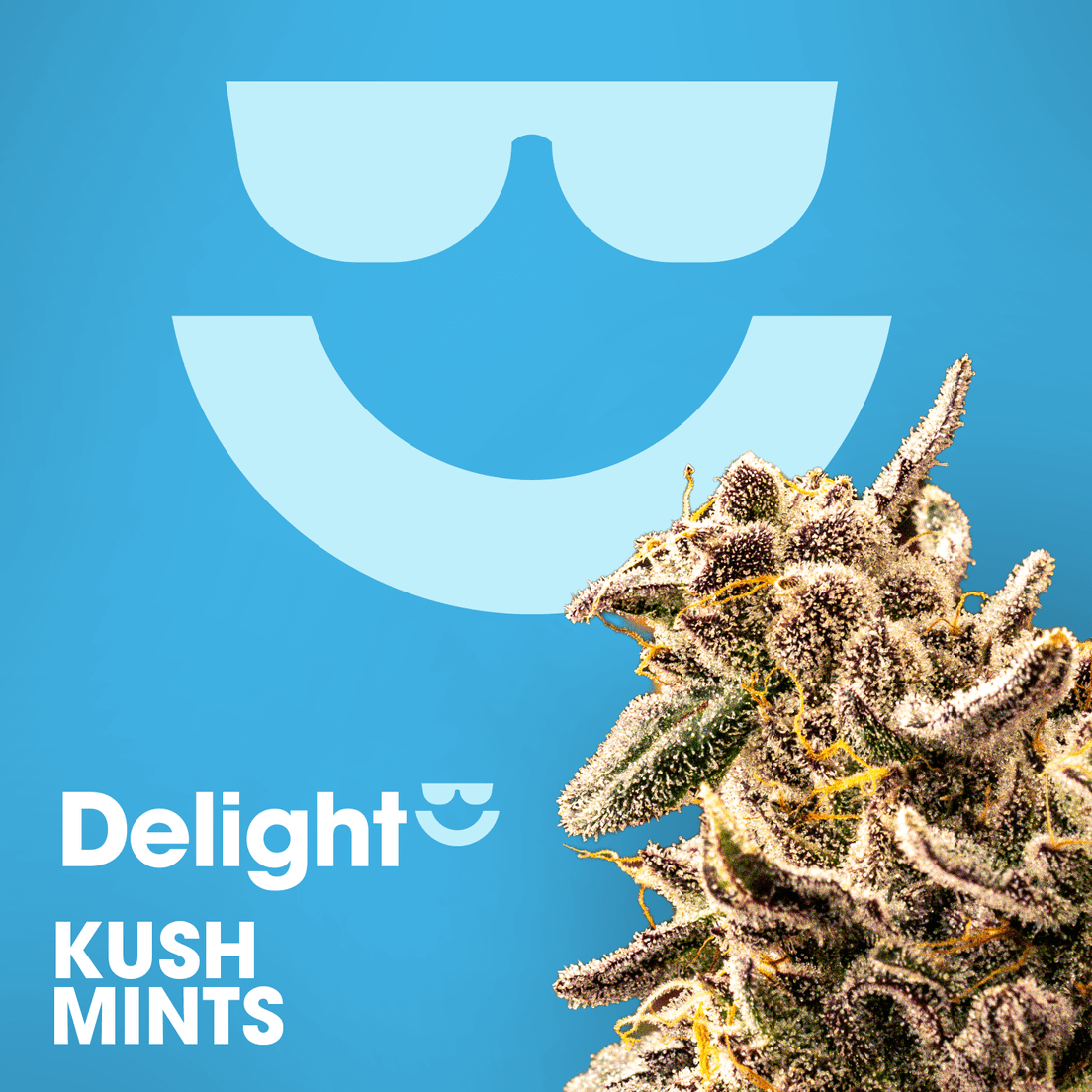 Delight | Kush Mintz | 1g Pre-Roll