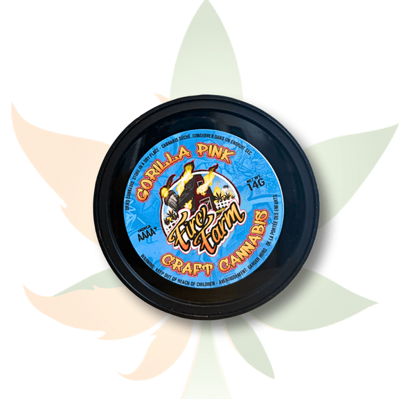 Fire Farm 14G Craft** Cannabis Can- Gorilla Pink