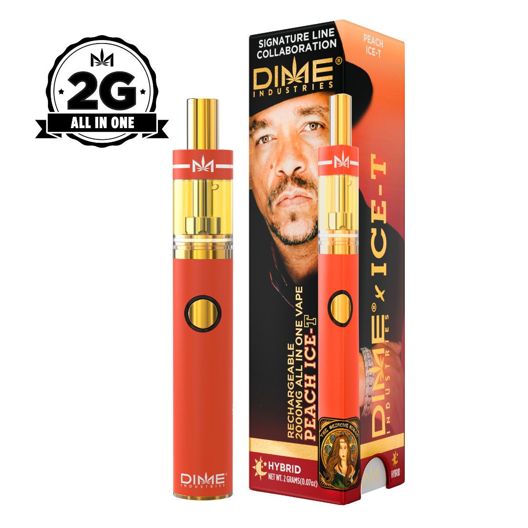 DIME PEACH ICE-T DISPOSABLE 2G