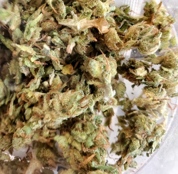 Birthday Cake Kush