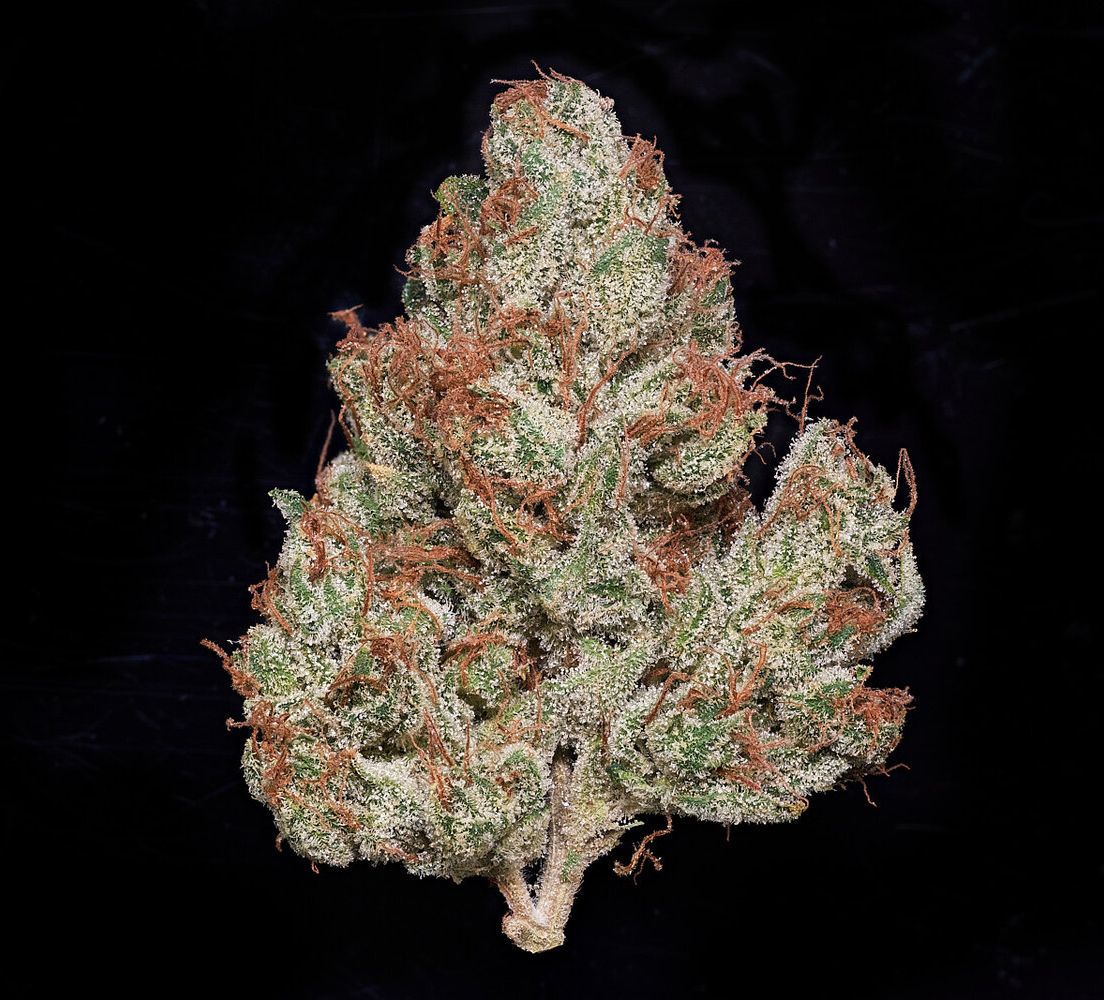 MVN - Mandarin Gold - Eighth -PP