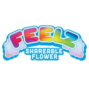 | FEELZ Space Case 3.5 * @