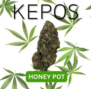 Kepos - HONEY POT 14G - PREMIUM FLOWERS